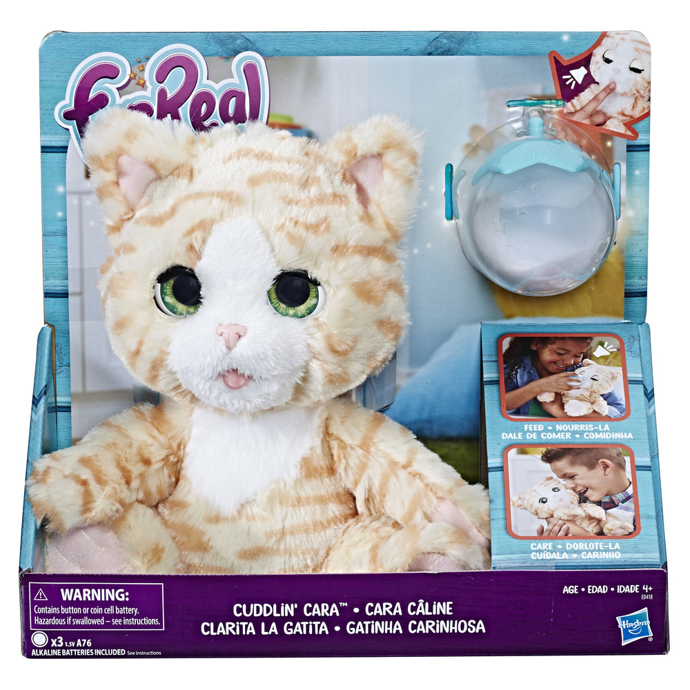 FEED AND CARE KITTY