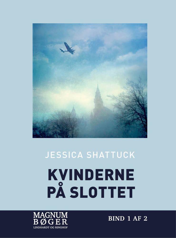 Kvinderne på slottet (storskrift)