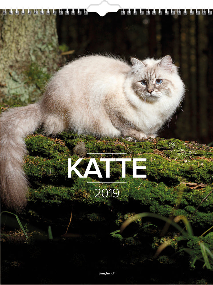 Vægkalender katte 2019 mayland