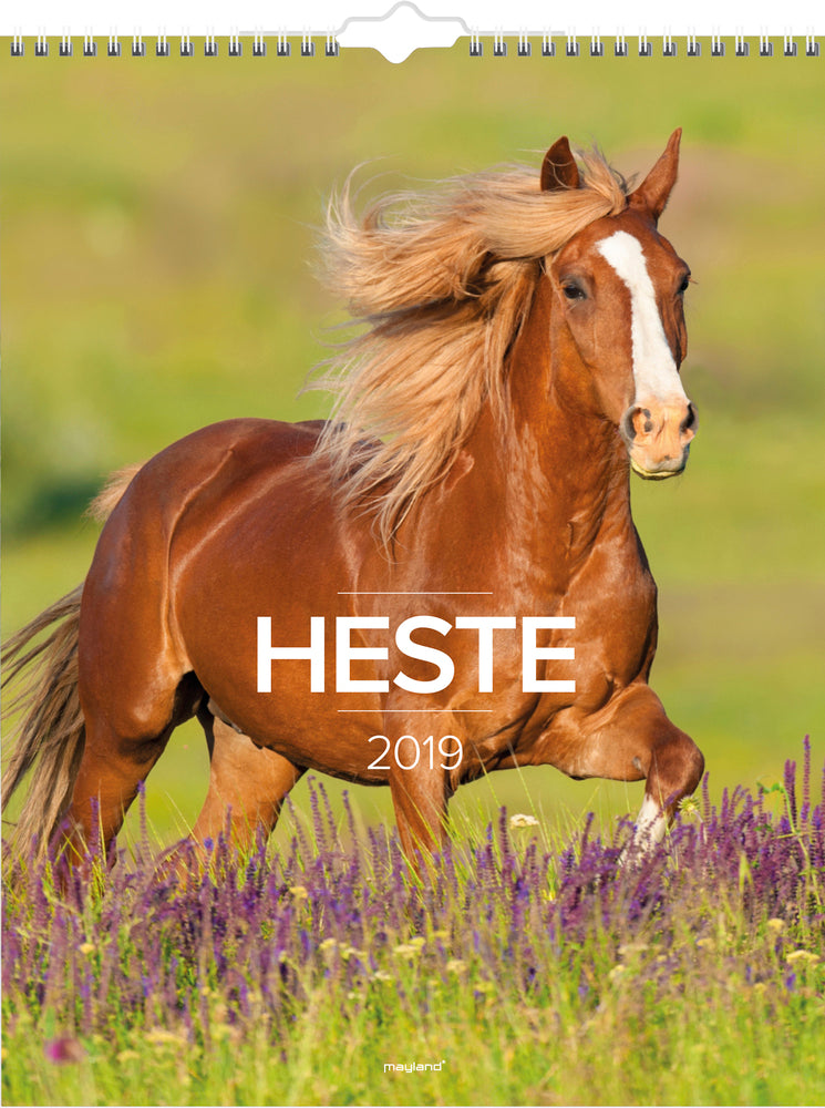 VÆGKALENDER HESTE 2019 MAYLAND