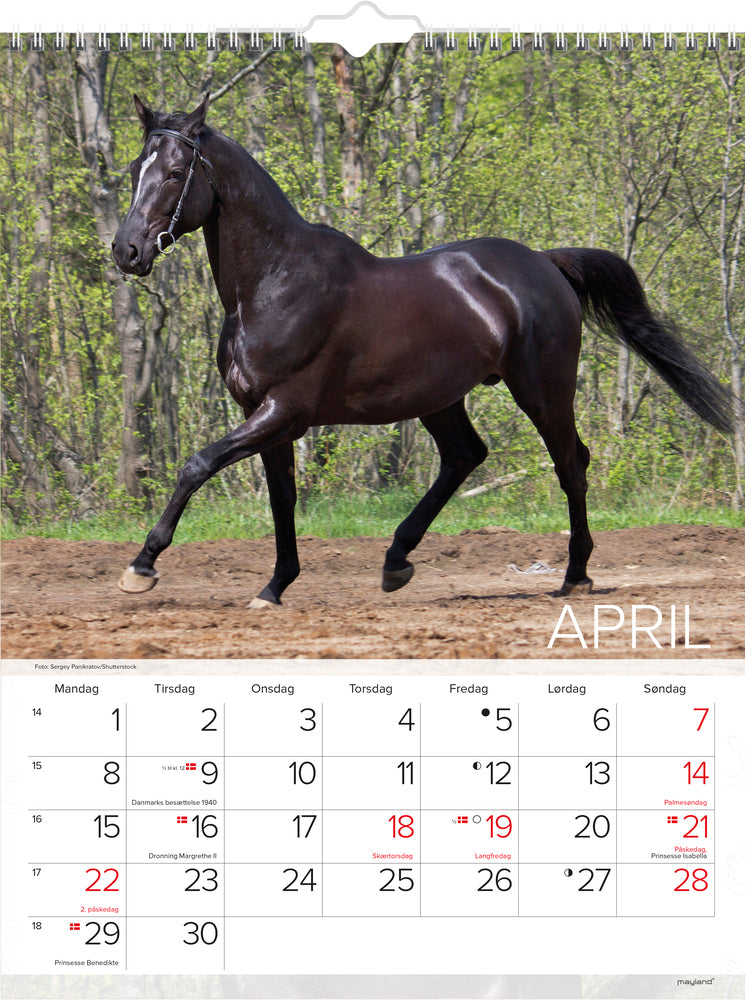 VÆGKALENDER HESTE 2019 MAYLAND