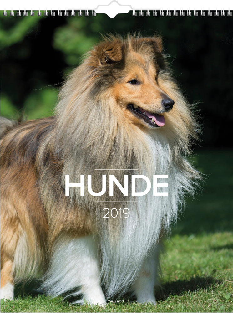 VÆGKALENDER HUNDE 2019 MAYLAND