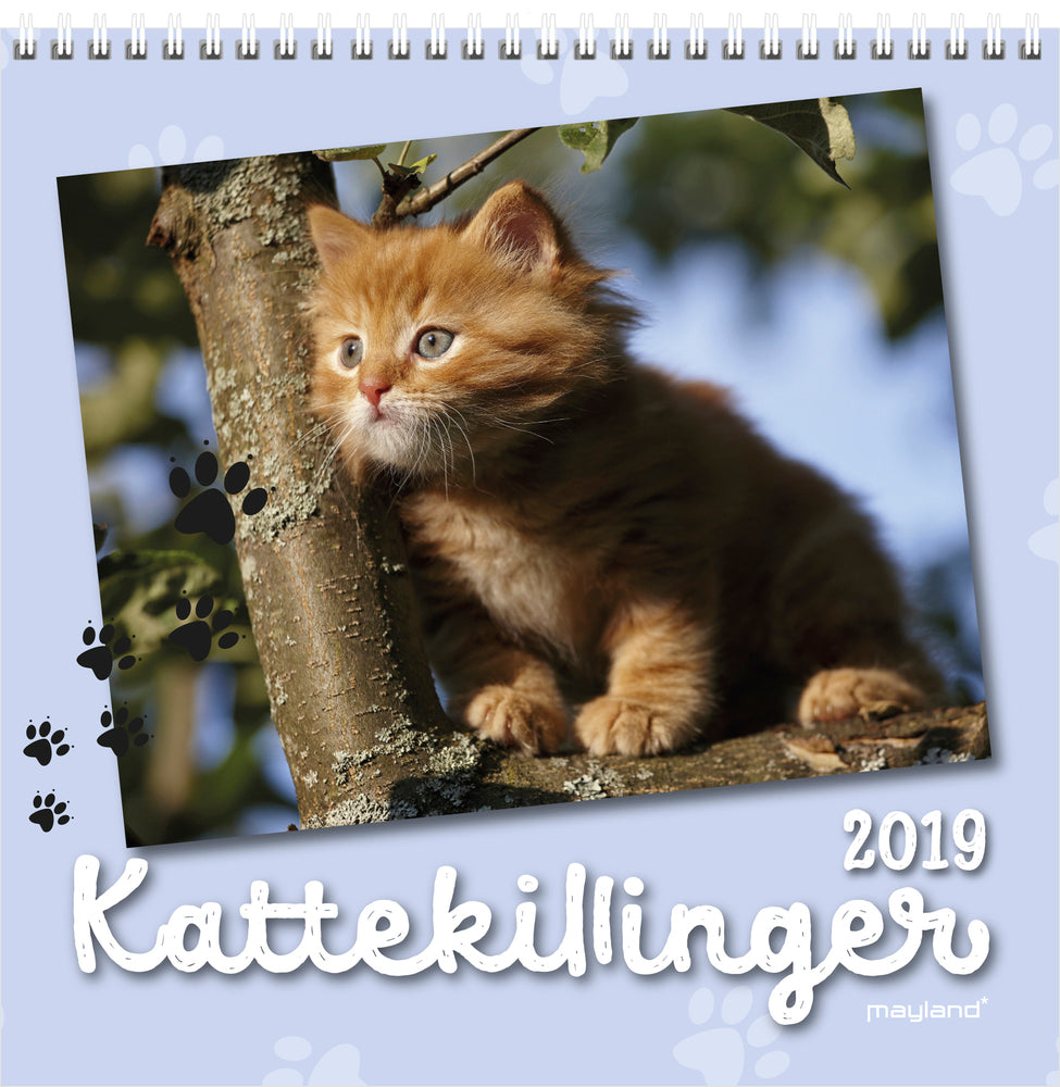 Vægkalender kattekillinger 2019 mayland