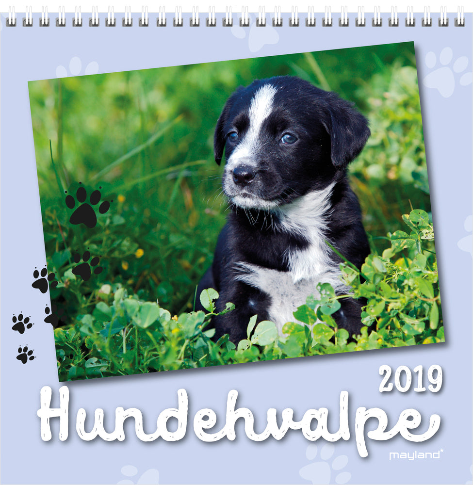 Vægkalender hundehvalpe 2019 mayland