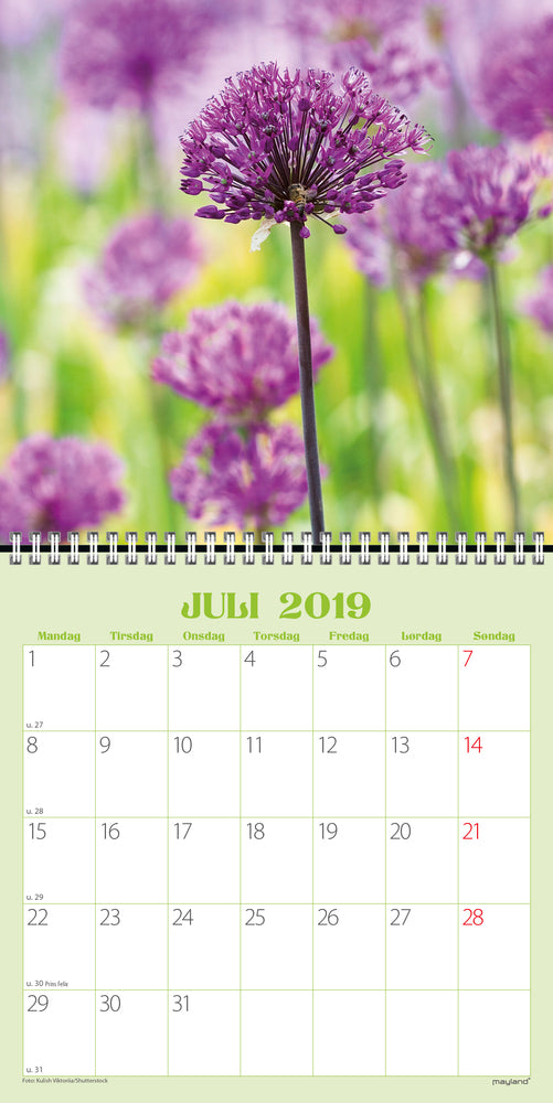 Vægkalender blomster 2019 mayland