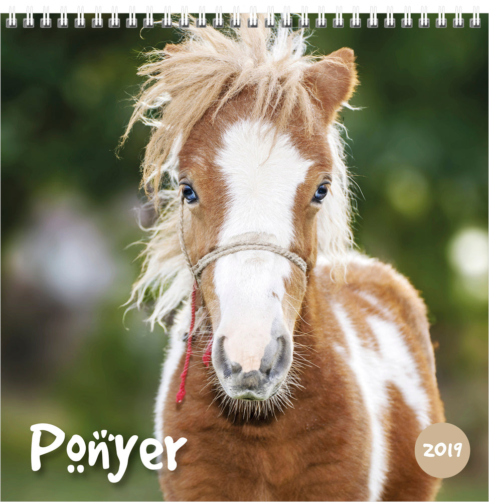 VÆGKALENDER HESTE 2019 MAYLAND