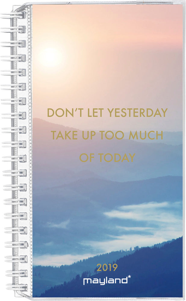 WEEK PLANNER 4 ILLU. 2019 MAYLAND
