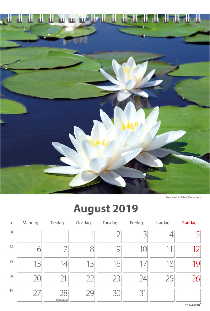BORDKALENDER BLOMSTER 2019 MAYLAND