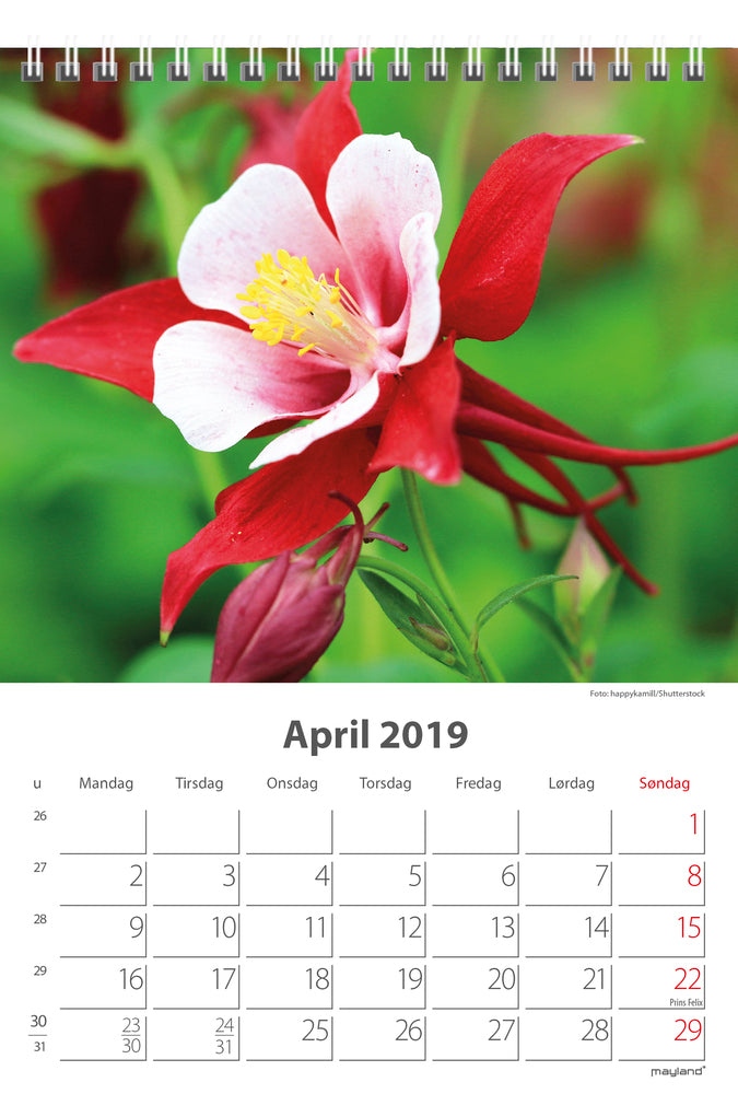 BORDKALENDER BLOMSTER 2019 MAYLAND