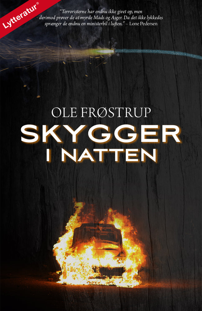Skygger i natten