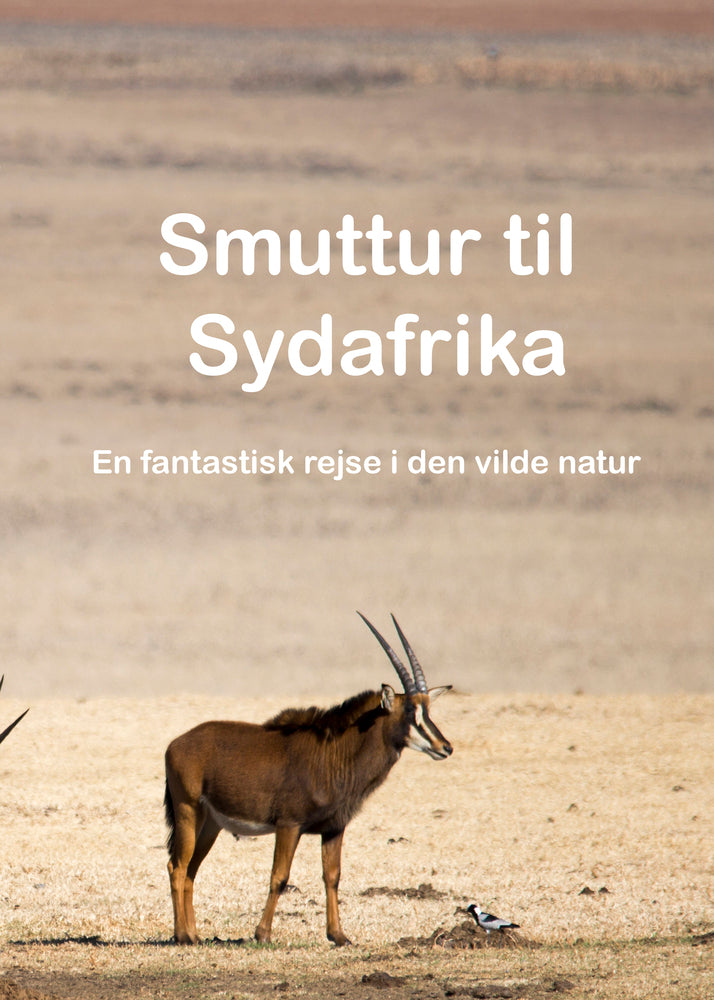 Smuttur til Sydafrika - En fantastisk rejse i den vilde natur.