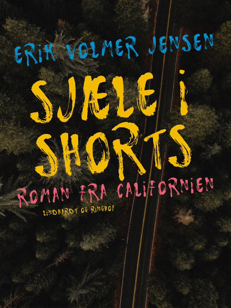 Sjæle i Shorts - roman fra Californien