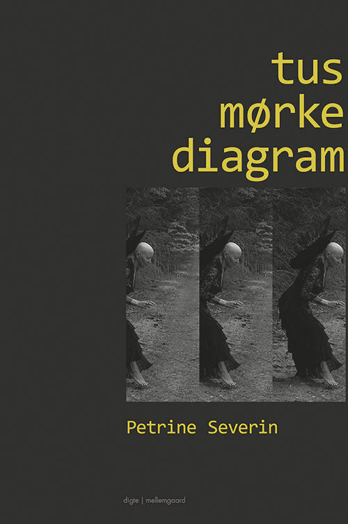Tusmørkediagram