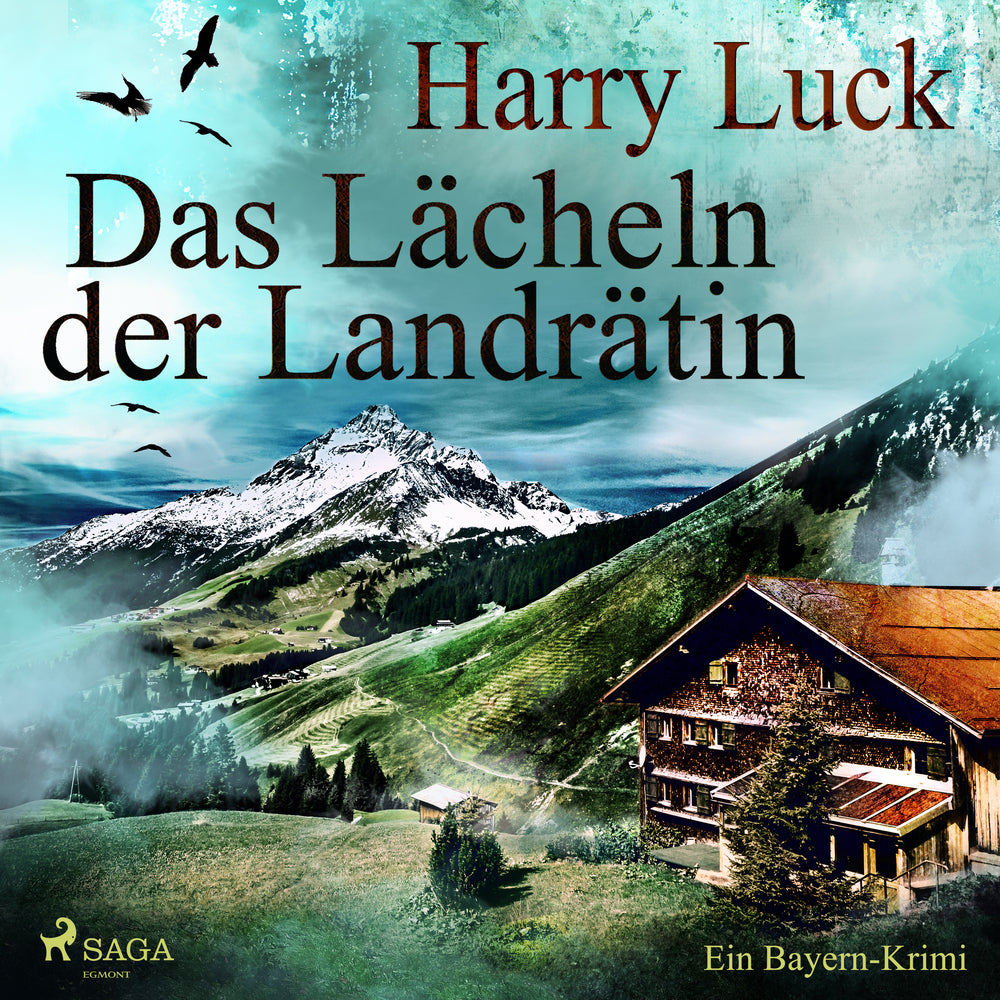 Das Lächeln der Landrätin: Ein Bayern-Krimi