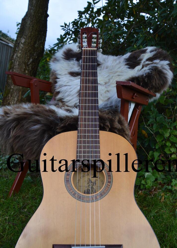 Guitarspilleren