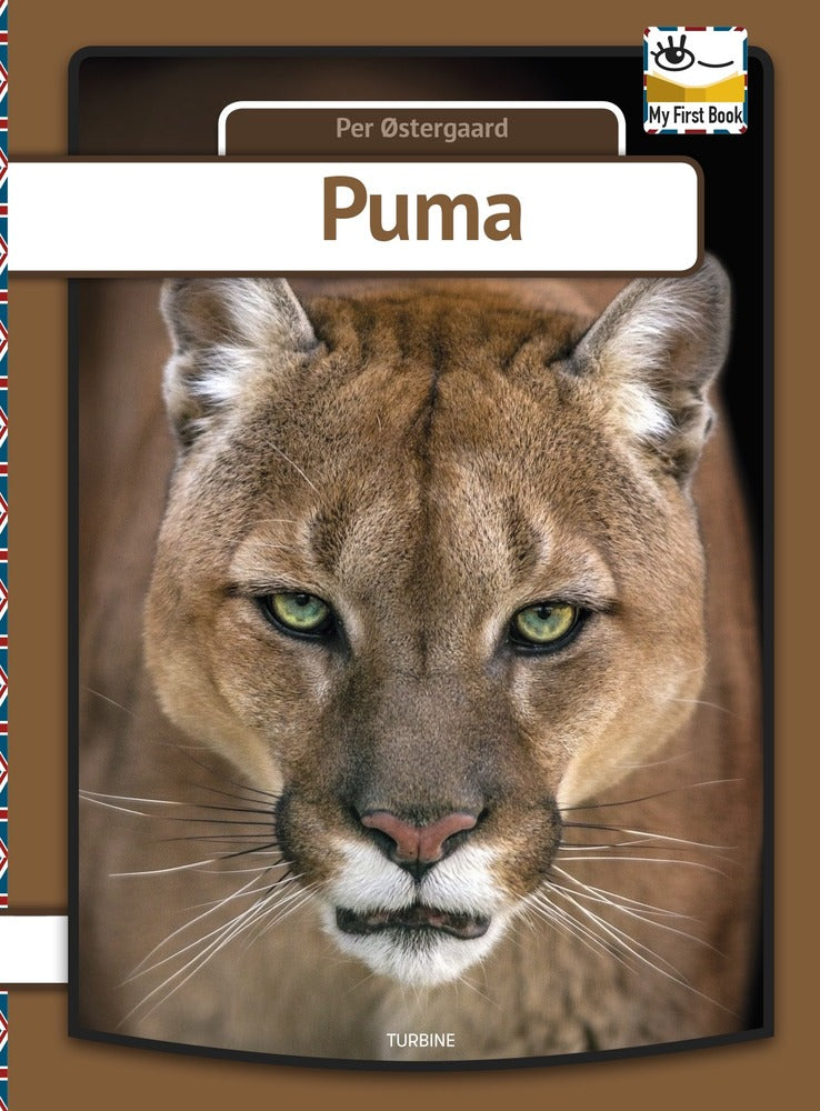 Puma - engelsk