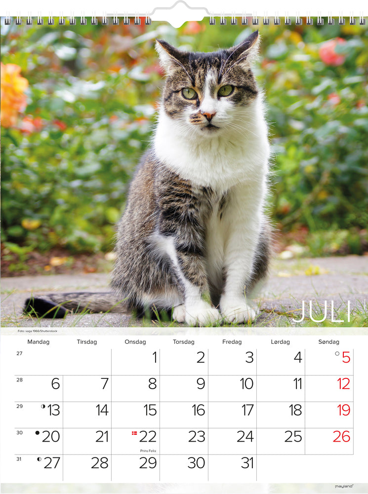 VÆGKALENDER KATTE 2020 MAYLAND