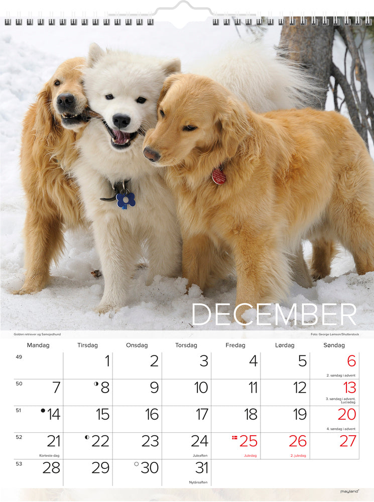 Vægkalender hunde 2020 Mayland