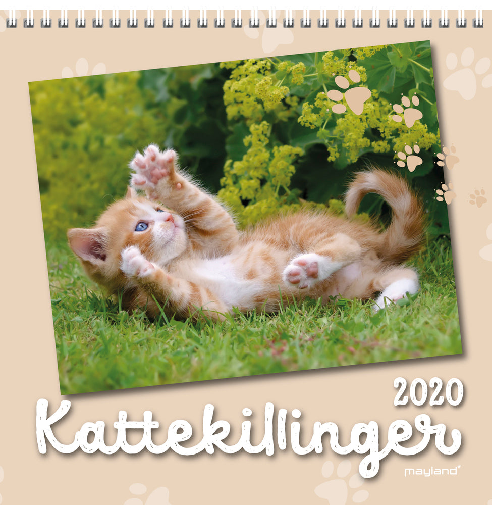 VÆGKALENDER KATTEKILLINGER 2020 MAYLAND