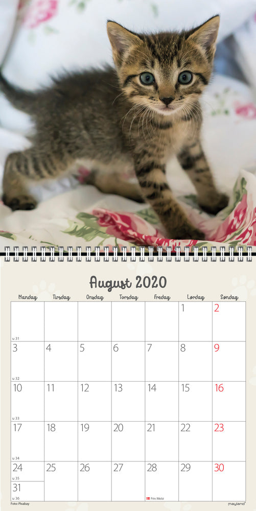 VÆGKALENDER KATTEKILLINGER 2020 MAYLAND