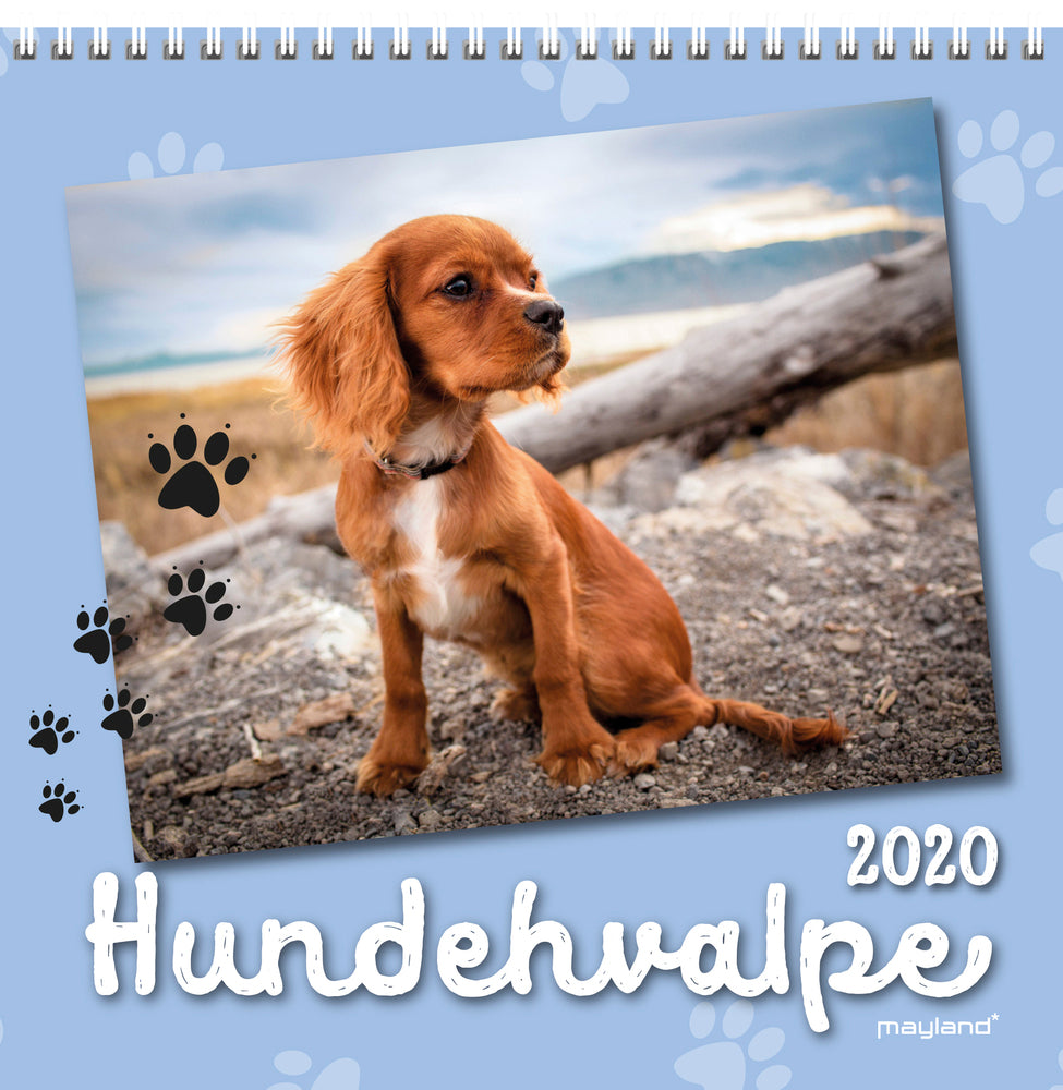 VÆGKALENDER HUNDEHVALPE 2020 MAYLAND