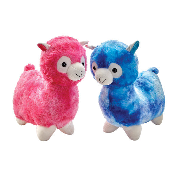Adorable alpaca 2 ass.