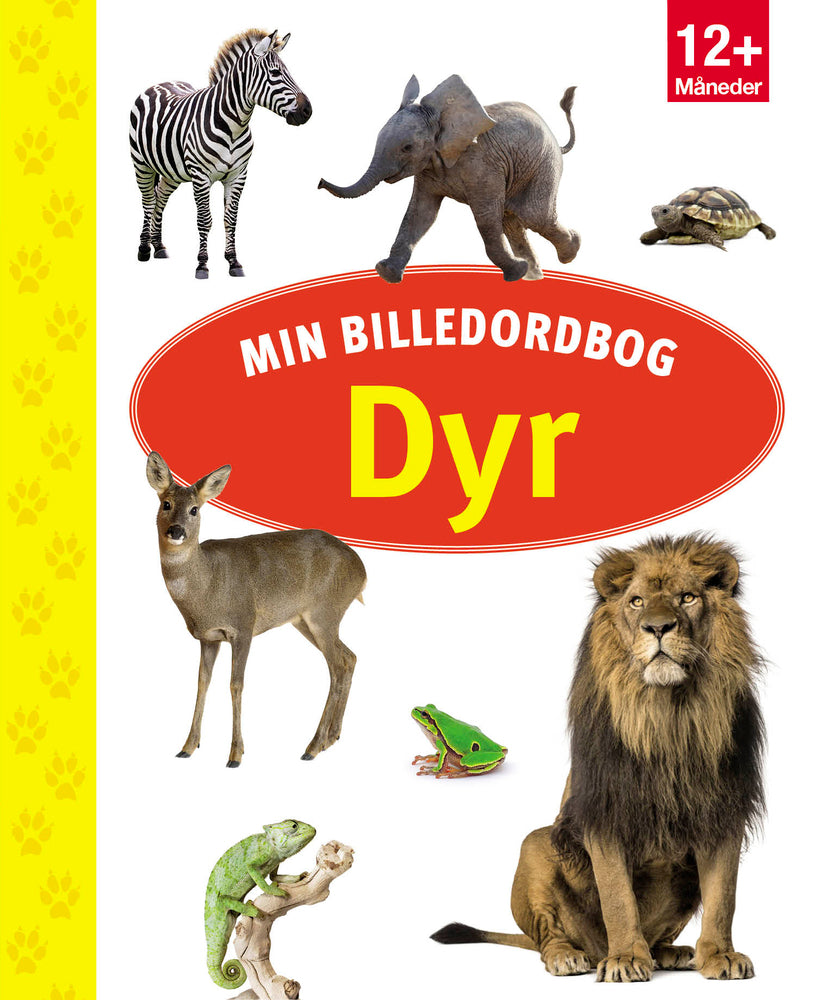 MIN BILLEDORDBOG - DYR