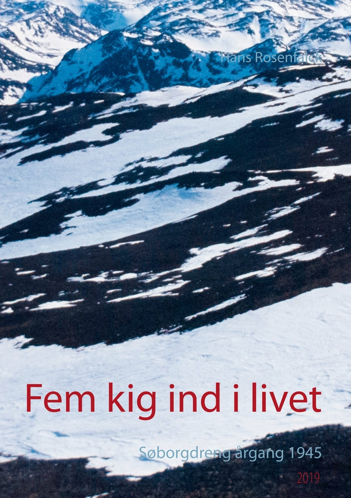 Fem kig ind i livet