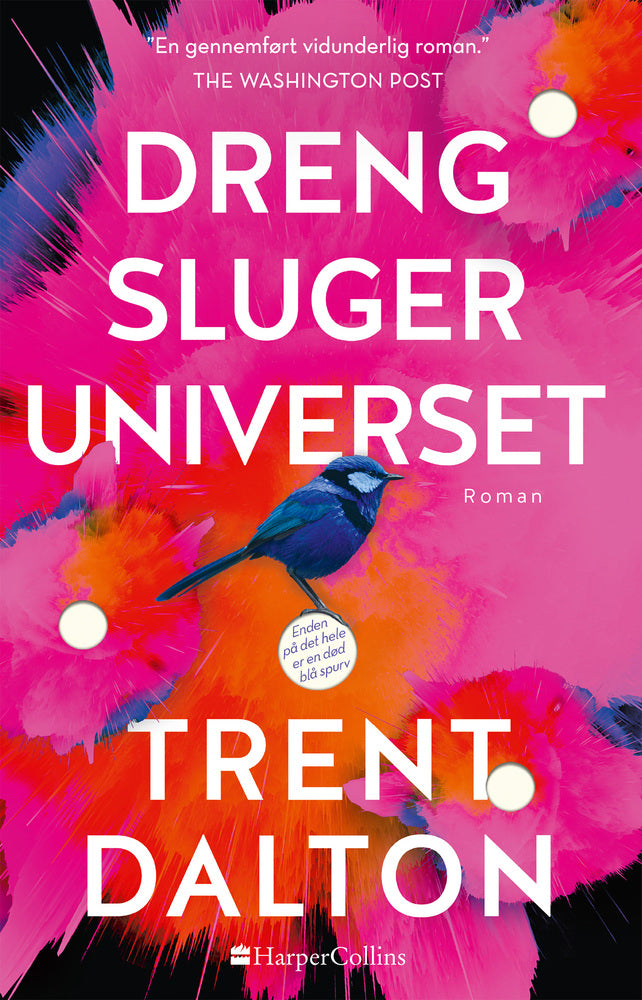 Dreng sluger universet