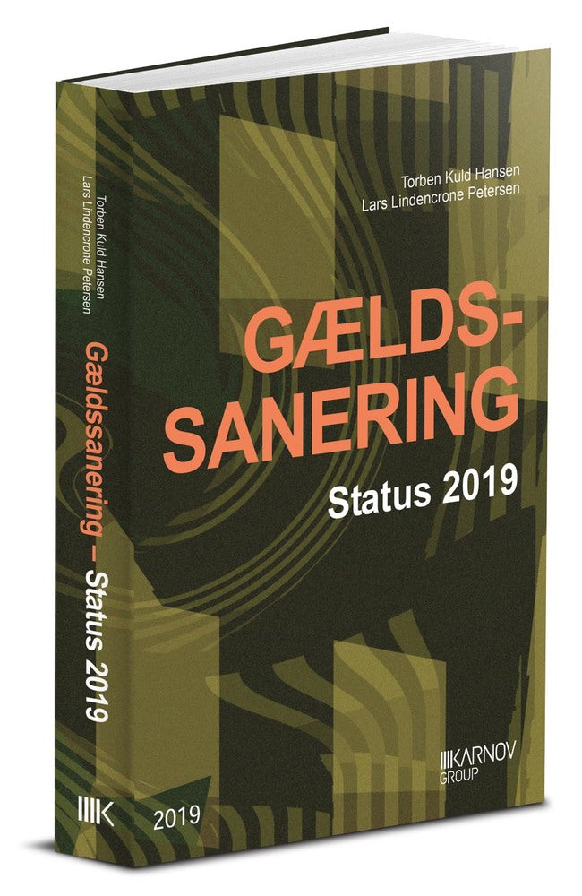 Gældssanering – status 2019
