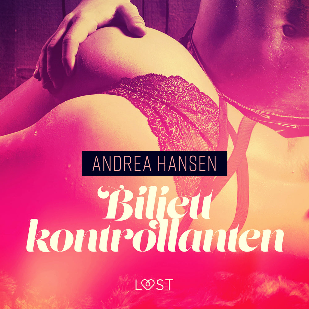 Biljettkontrollanten - erotisk novell