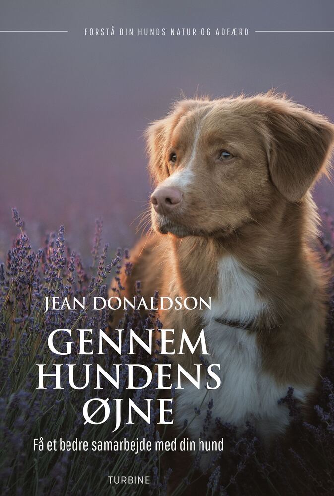 FEJLOPRETTET: Gennem hundens øjne