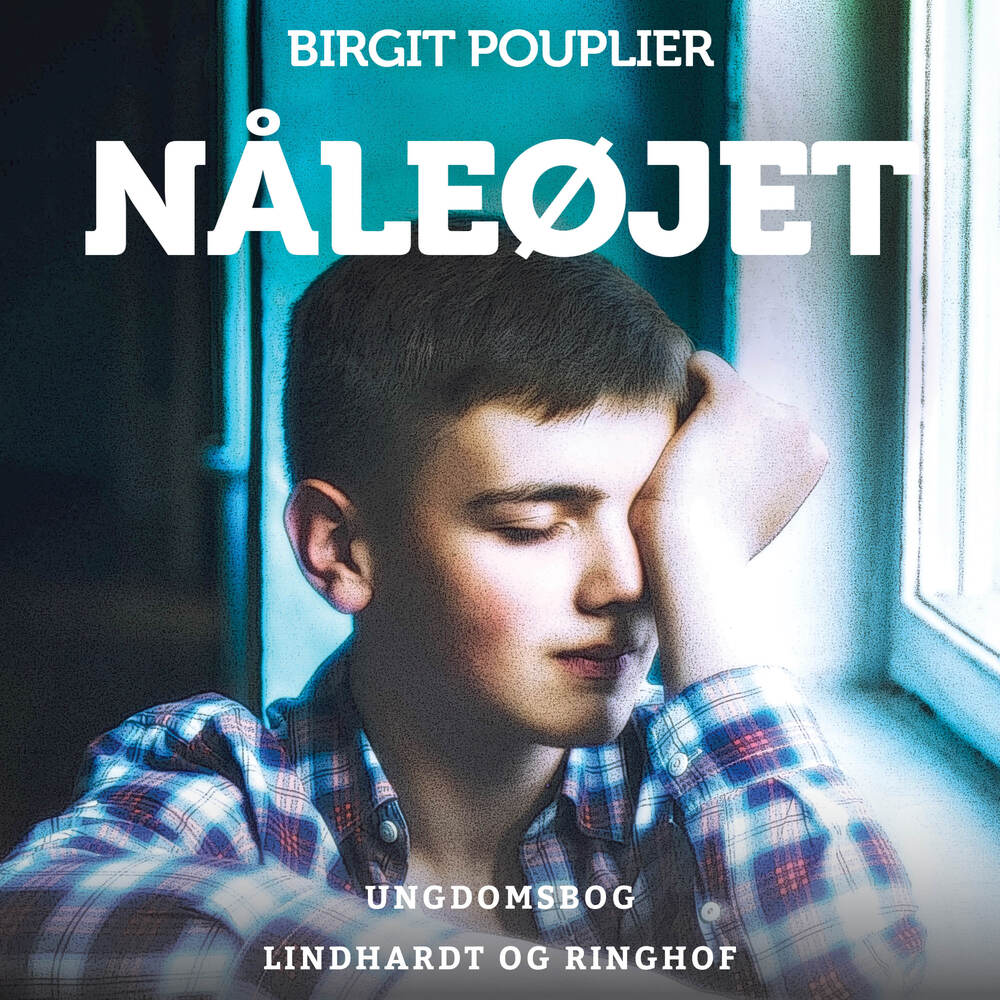Nåleøjet