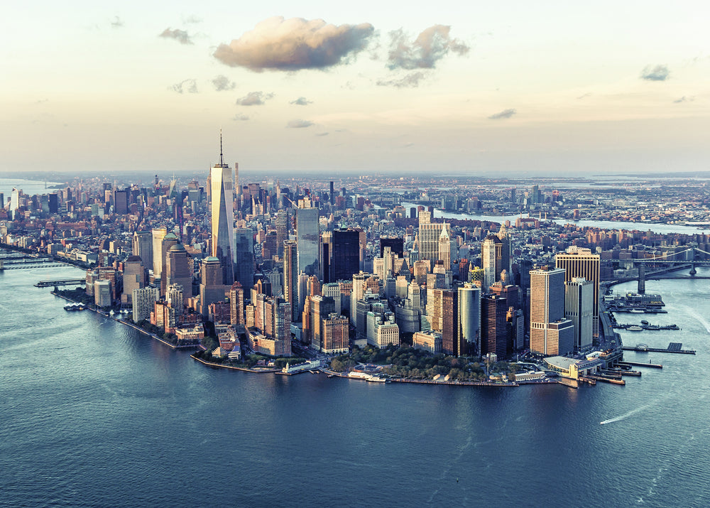 Puslespil new york 1000 brikker