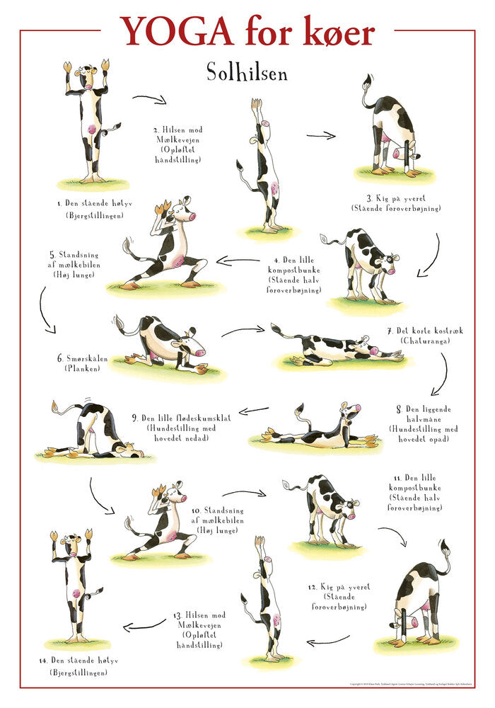 Yoga for køer PLAKAT