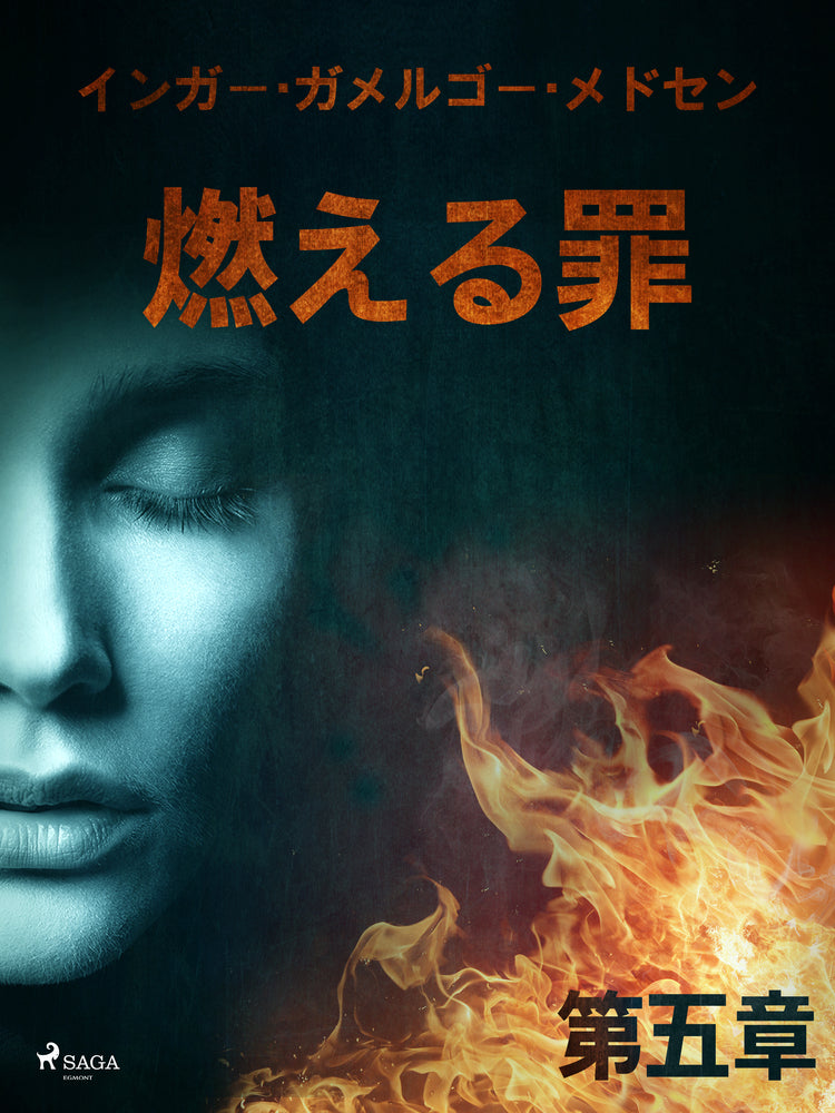 燃える罪-第五章