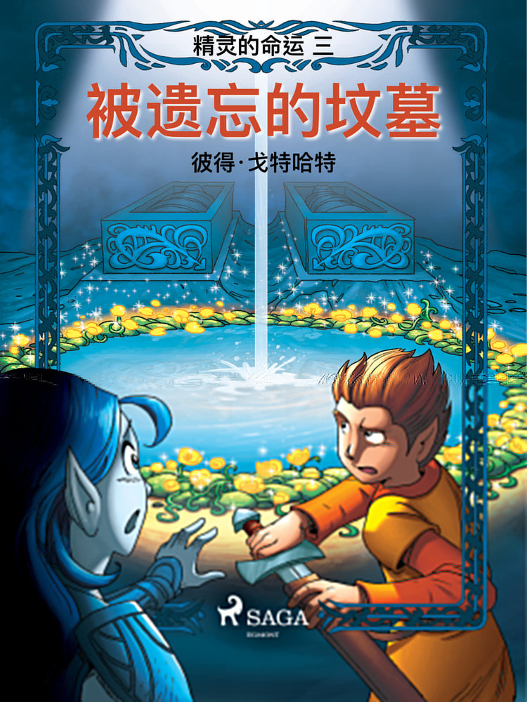 精灵的命运 三:被遗忘的坟墓