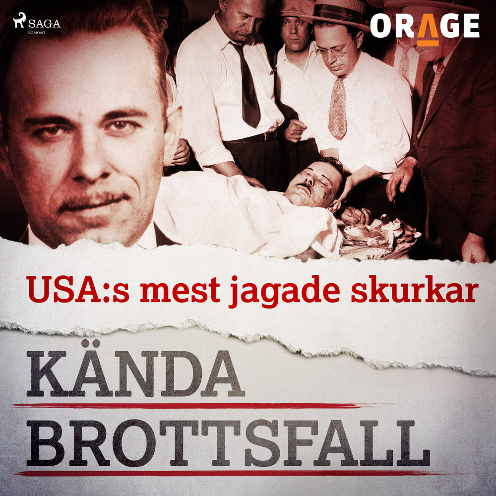 USA:s mest jagade skurkar