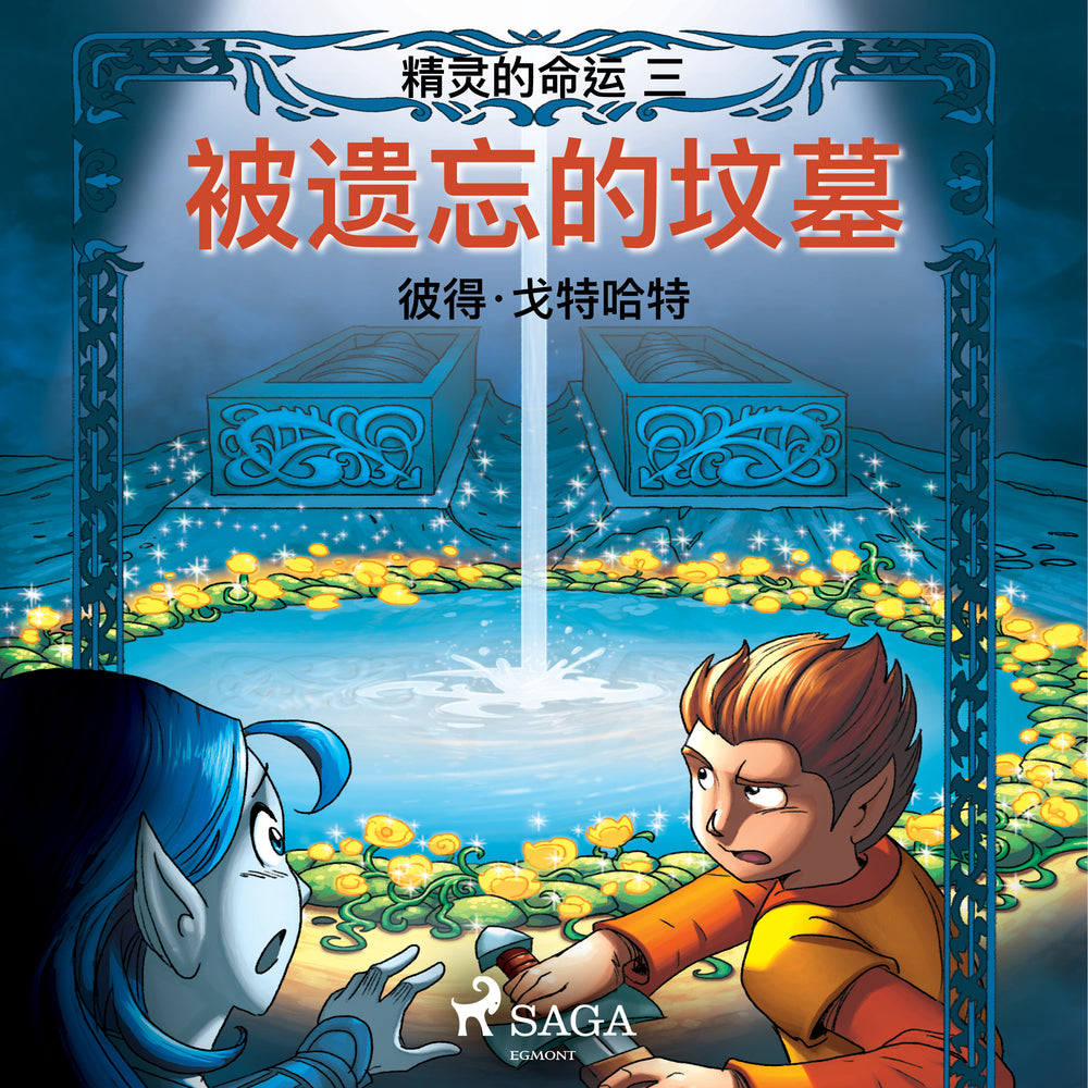 精灵的命运 三:被遗忘的坟墓
