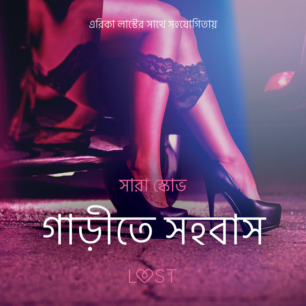 গাড়ীতে সহবাস - একটি আদিরসাত্মক ছোট গল্প