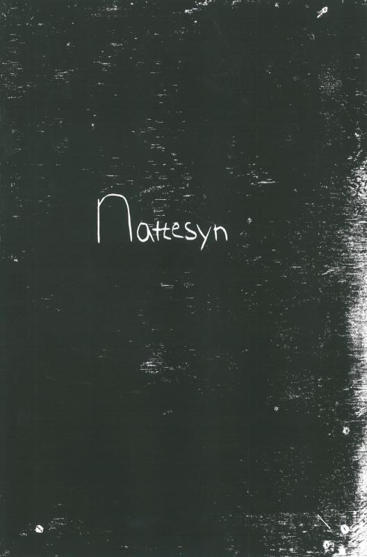 nattesyn