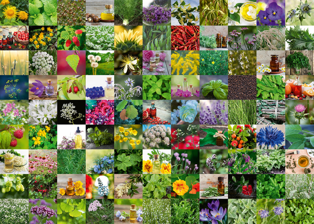 Puslespil 99 Herbs and Spices 1000 brikker