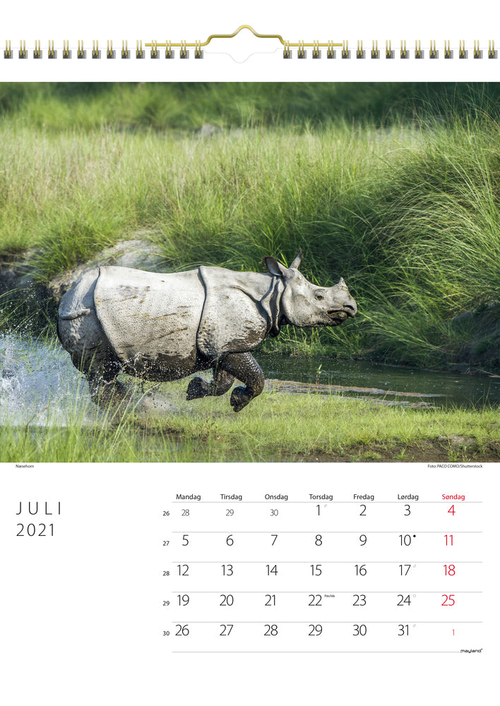 Vægkalender savannen 2021 29,5 x 39 cm Mayland