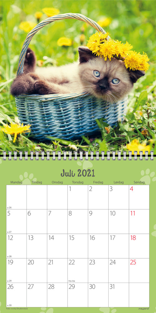 Vægkalender kattekillinger 2021 16 x 16 cm Mayland