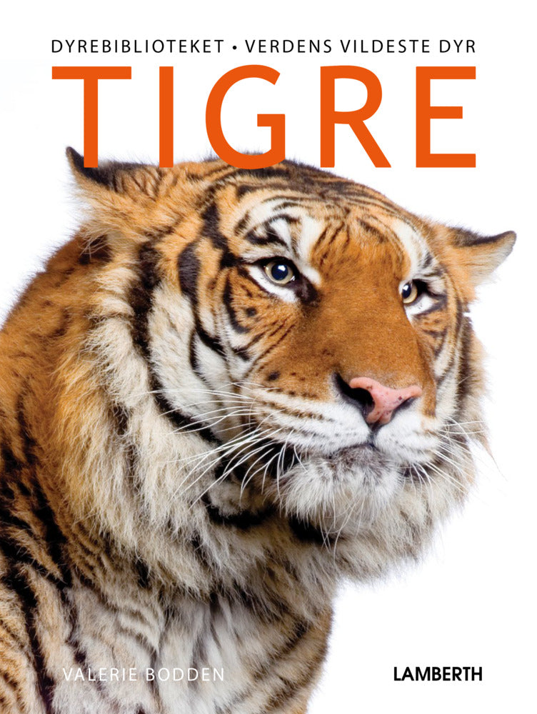 Tigre