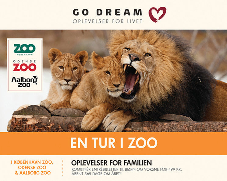GO DREAM En tur i zoo