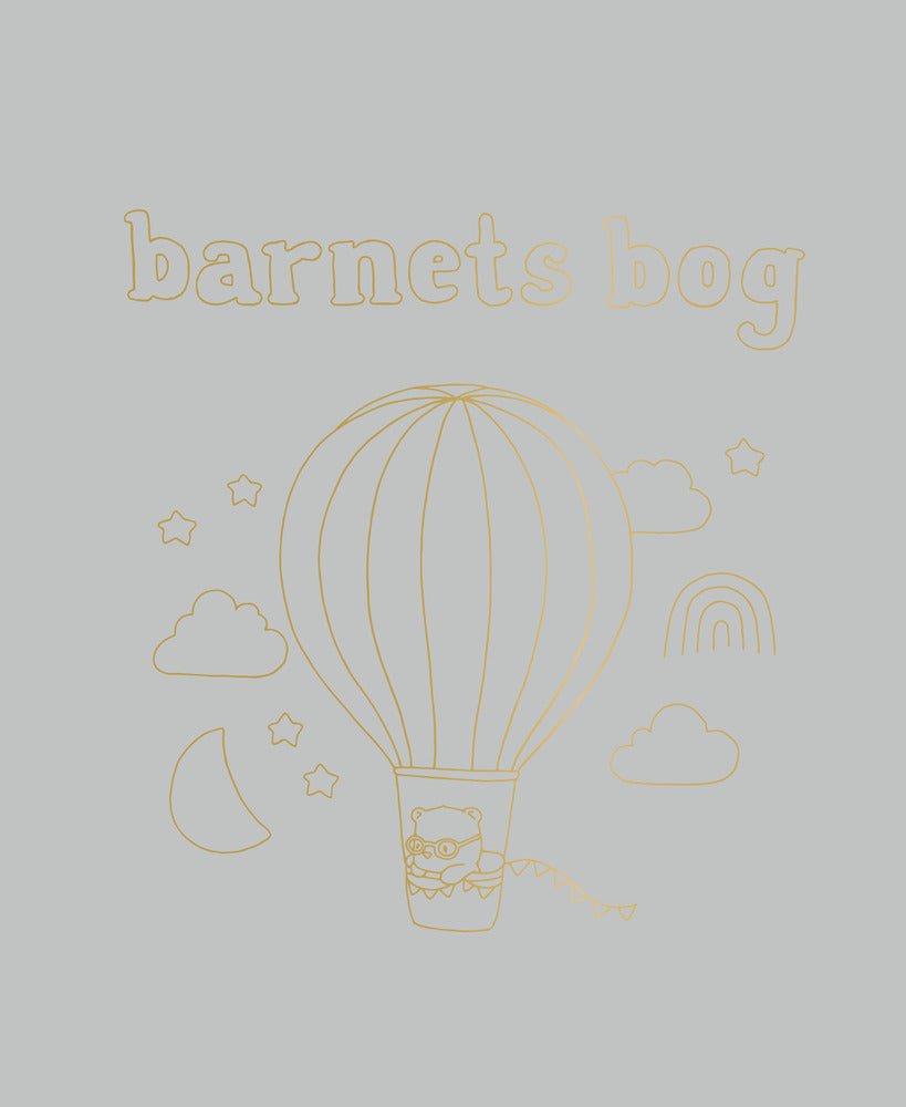 Barnets bog
