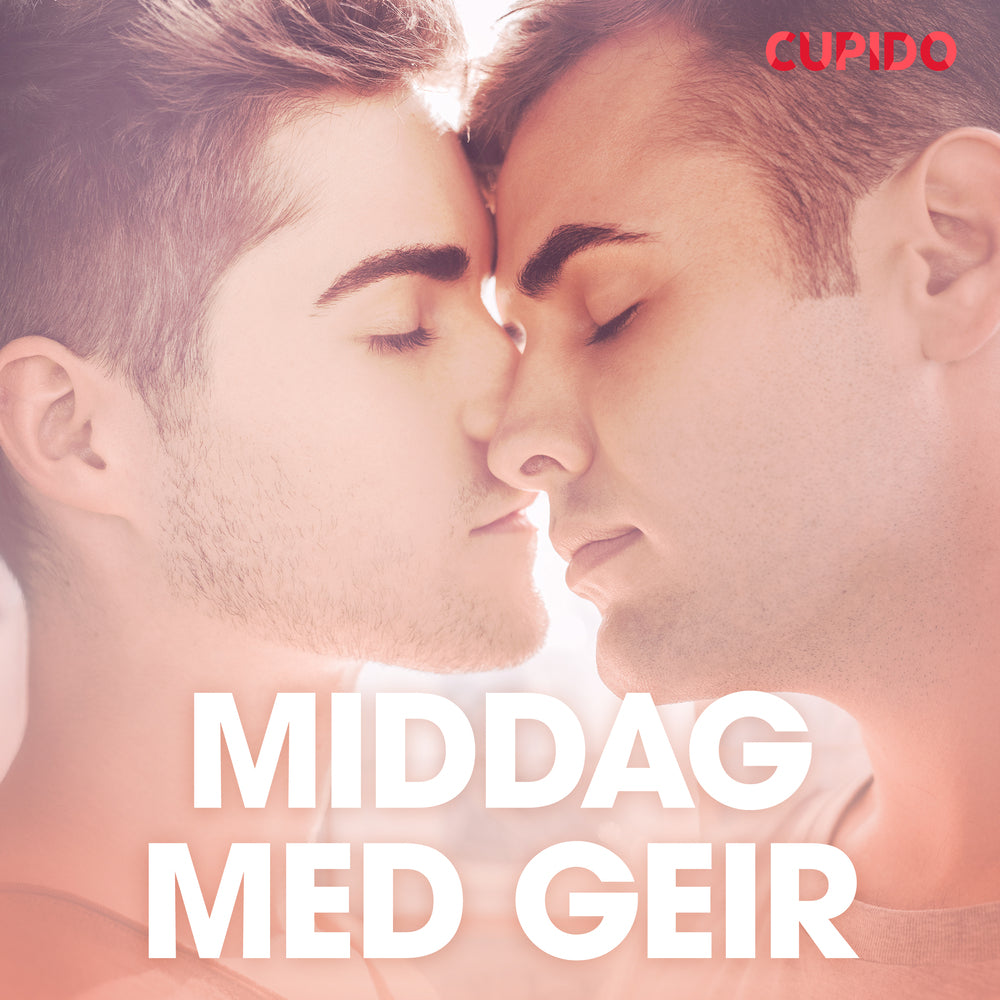 Middag med Geir - erotiska noveller