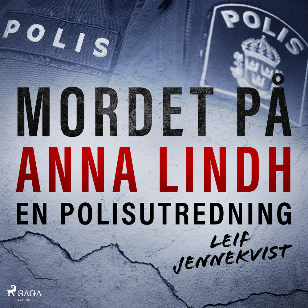 Mordet på Anna Lindh: en polisutredning