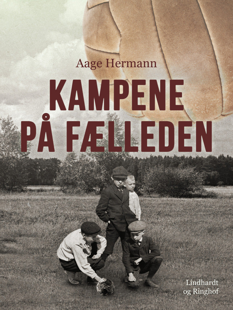 Kampene på Fælleden